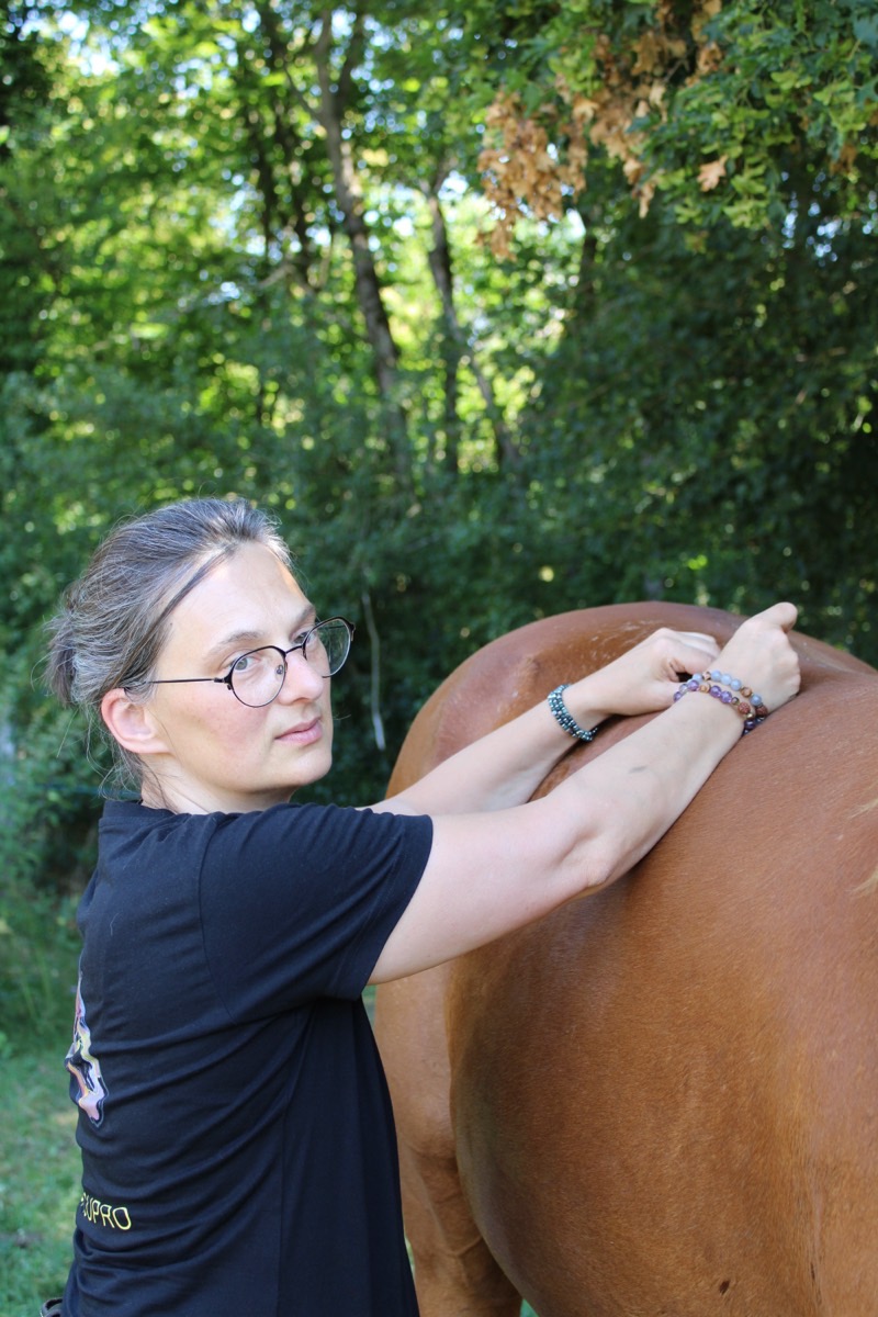 Le Dr Isabelle Franzetti pratique une séance d'acupuncture sur un cheval alezan