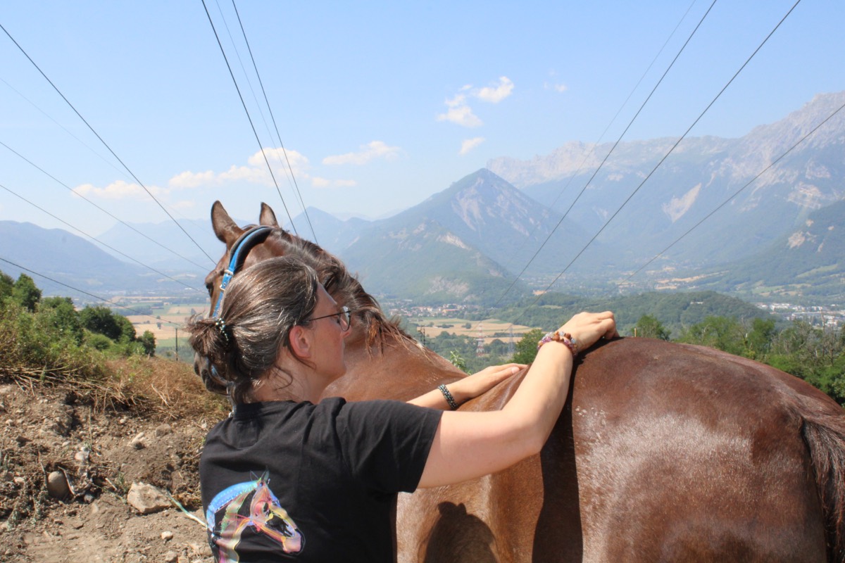 Le Dr Isabelle Franzetti soigne un cheval en extérieur, montagnes en arrière-plan